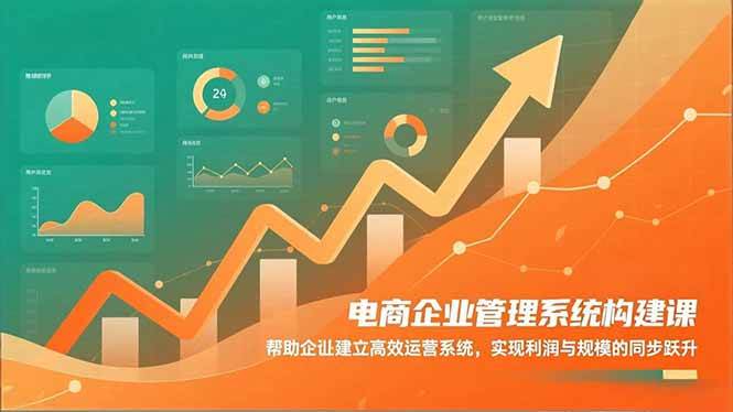 （16643期）电商企业管理系统构建课：帮助企业建立高效运营系统，实现利润与规模的同步跃升-立刻分享网创平台