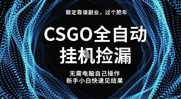 【稳定副业】全球最热门游戏CSGO全自动捡漏，最新玩法，新手小白日入5张+【揭秘】-立刻分享网创平台