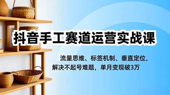 （16667期）抖音手工赛道运营实战课，流量思维、标签机制、垂直定位，解决不起号难题，单月变现破3万-立刻分享网创平台