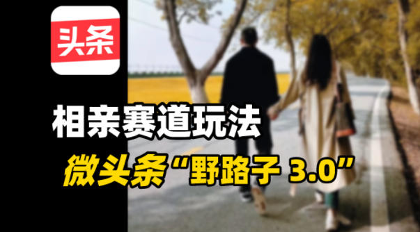 微头条“野路子3.0”相亲赛道玩法，搬砖式操作单号稳定3张-立刻分享网创平台